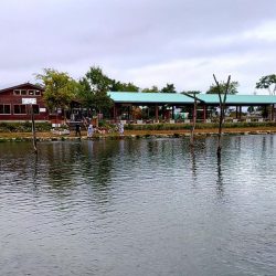 10/16　雨の中でサクラマス連発！ ～フィッシングパーク高島の泉～